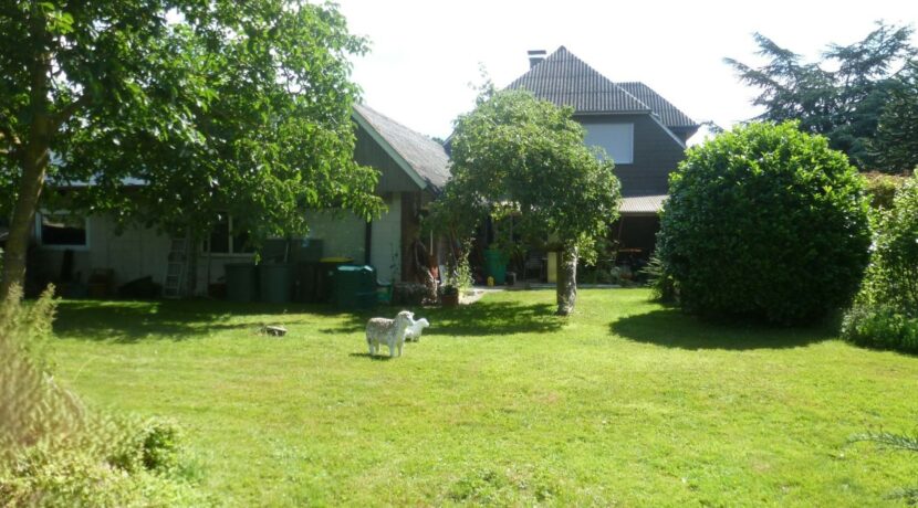 Teilansicht Garten