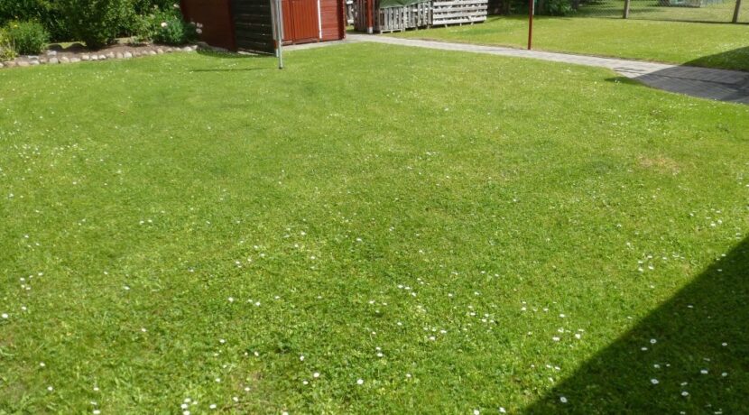 Teilansicht Garten