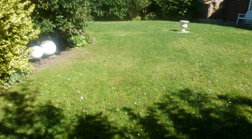 Teilansicht Garten