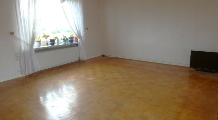 großzügiges Wohnzimmer